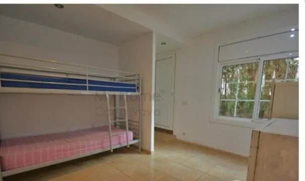Palmeral Lloret de Mar